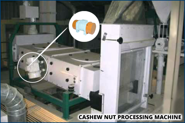 Cashew Nut Processing Machine
