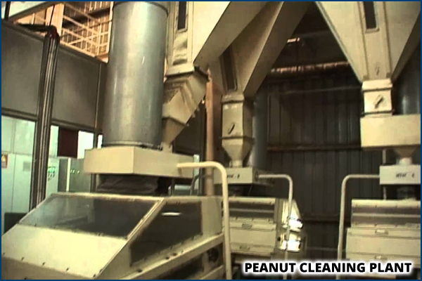 Peanut Cleaning Plant manufacturer