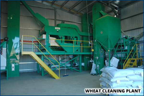 Wheat cleaning plant manufacturer